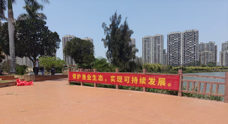 会督于鸡苗