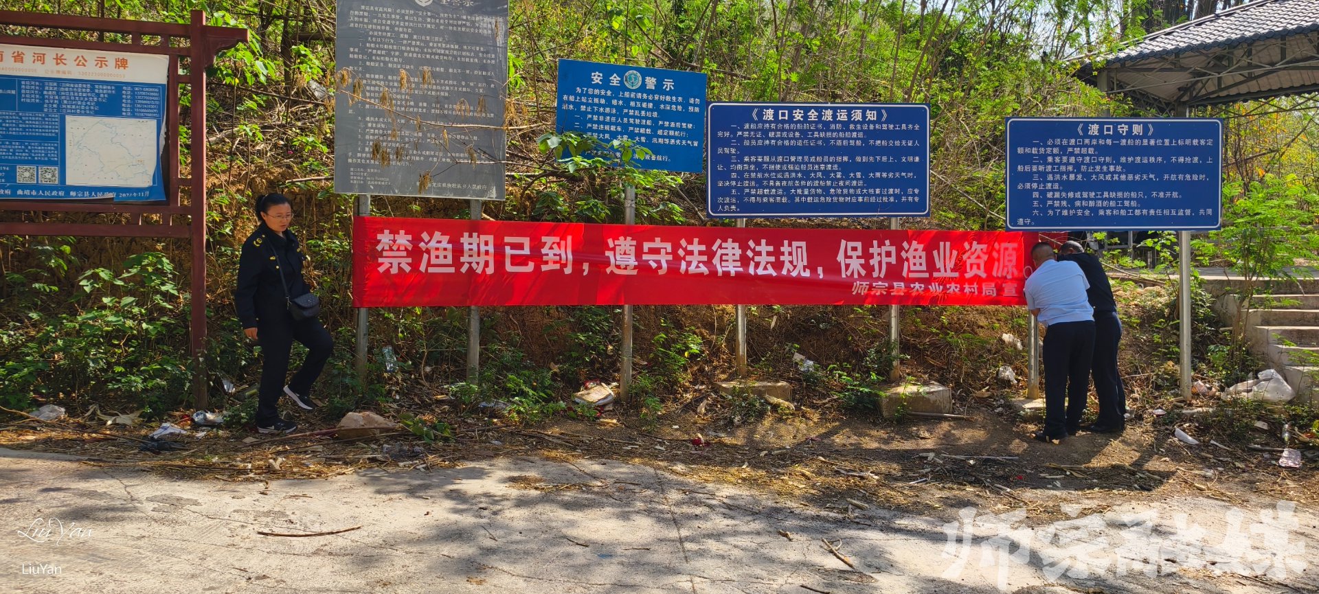 会督于鸡苗