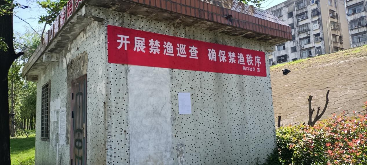 会督于鸡苗